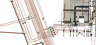 365快发国际(中国)官方网站