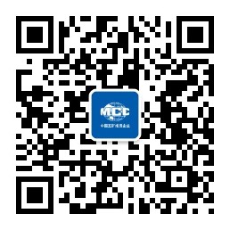 青春365速发国际